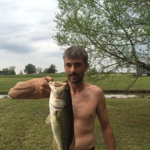 Meet your Posher, Shane